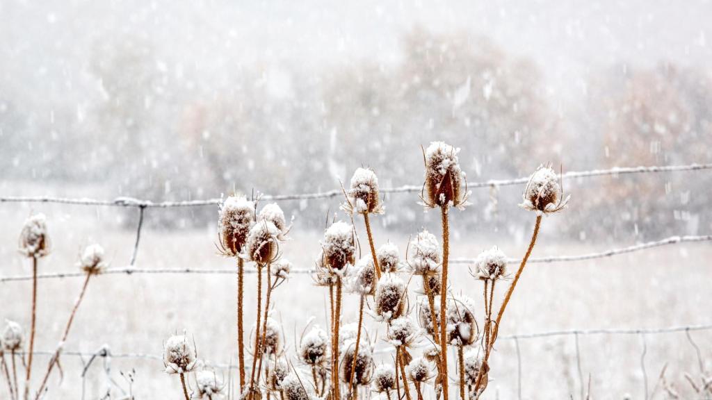 Las mejores imágenes de la borrasca Arwen tras su paso por el norte de España.