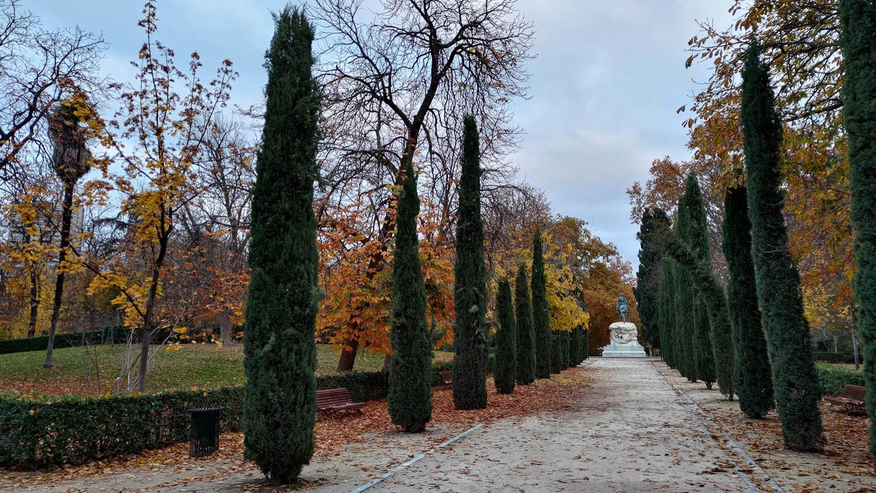 Fotogalería de fotos hechas con el ASUS Rog Phone 5s