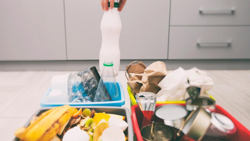 Ecoval continuará su labor de divulgación en los centros educativos vigueses