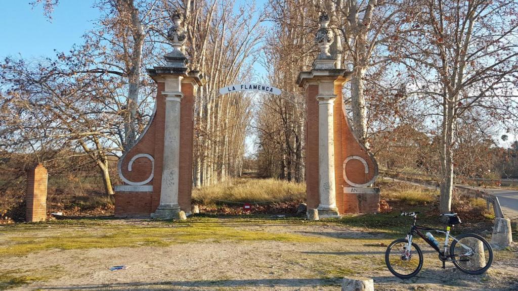 La Flamenca, en Aranjuez.