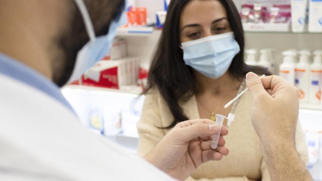 Un farmacéutico haciendo un test de antígenos.