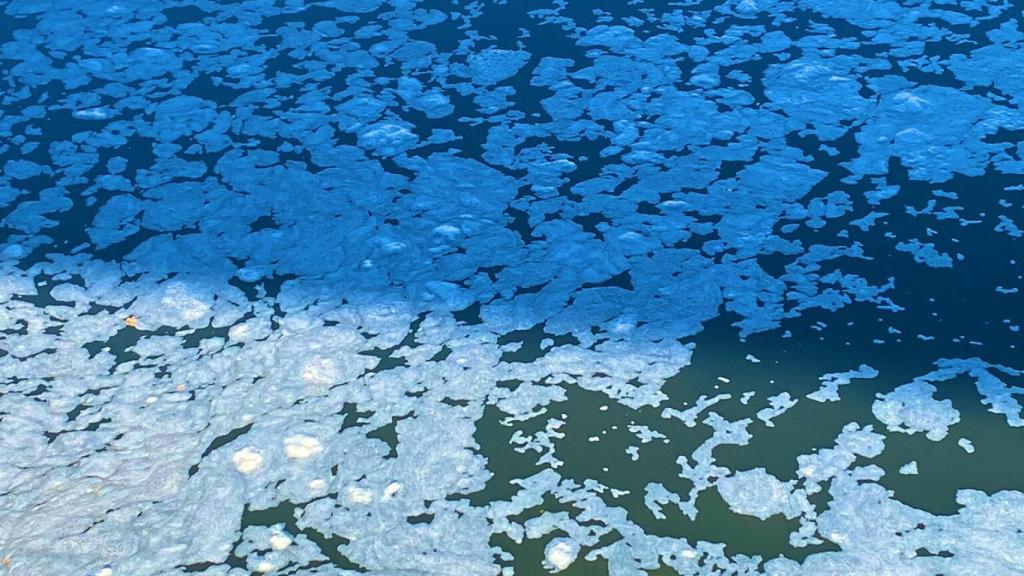 Las aguas del Tajo, este sábado a su paso por Toledo. Foto: Victoria Guadamillas.