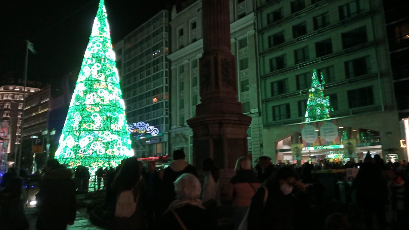 Árbol del Obelisco