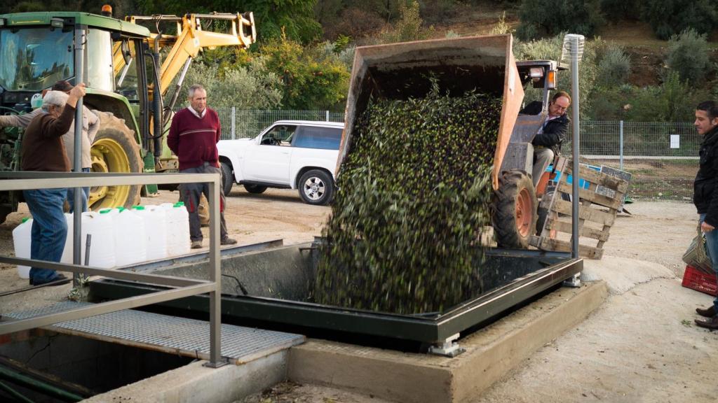 Este tipo de molienda a maquila tiene cada día más adeptos