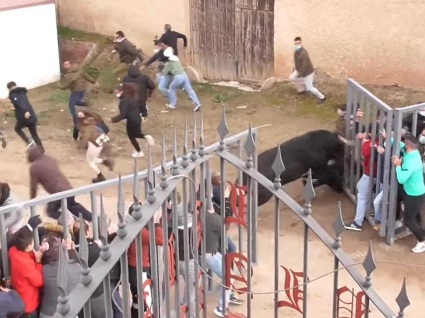 Momento en el que el toro abre la talanquera / Juanichi Taurino