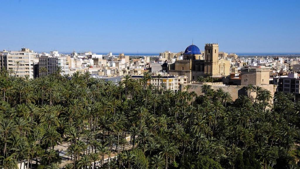 Una vista del Palmeral de Elche, con la basílica de Santa María y el Palacio de Altamira en primera línea.