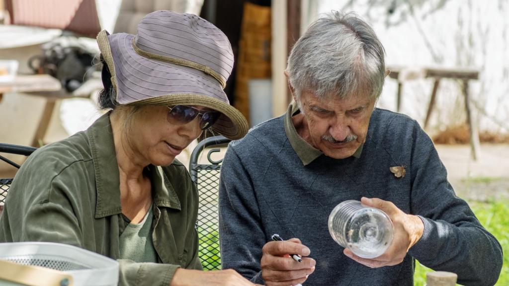 Josef H. Reichholf y su esposa estudiando diferentes mariposas