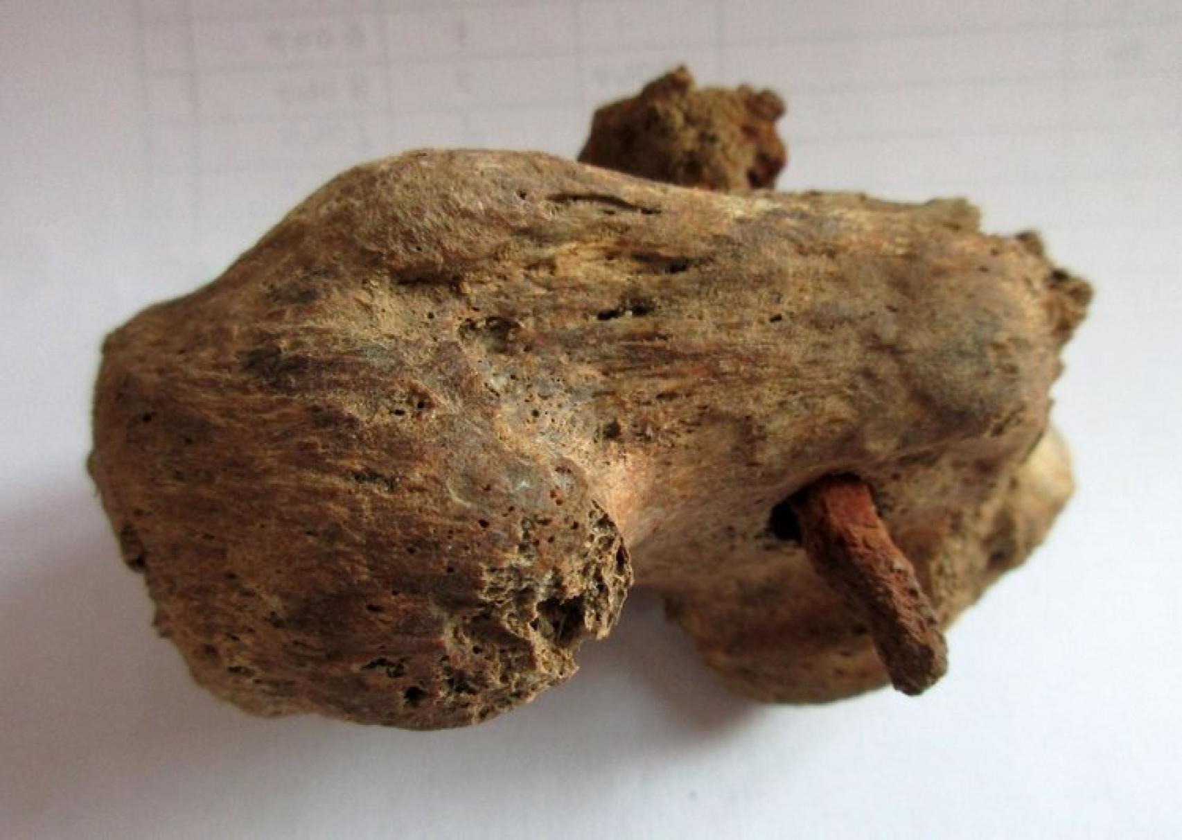 El calcáneo del hombre crucificado y el clavo de hierro.