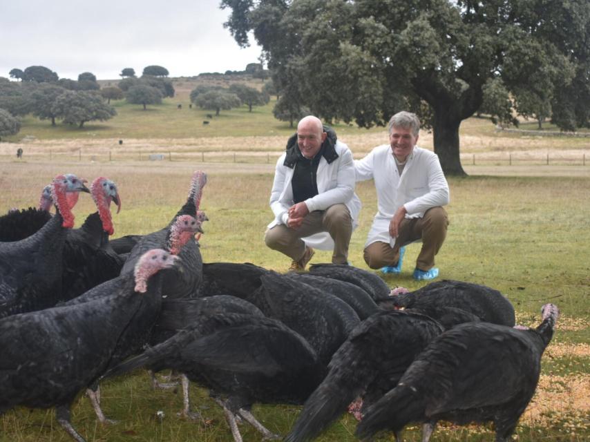 José Julio Carnero visita la explotación de la empresa Cascajares en la dehesa salmantina