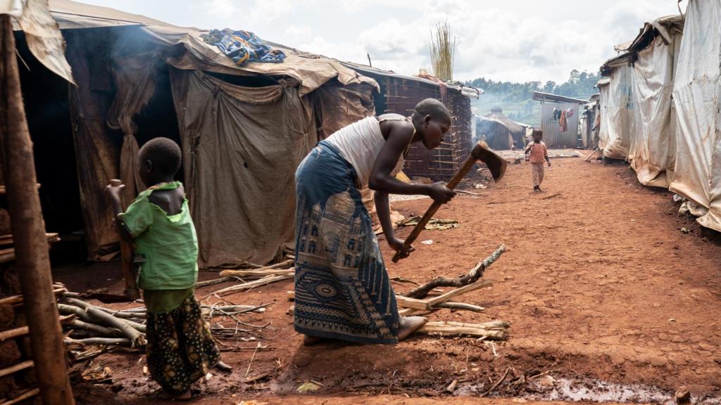 Una mujer recogiendo leña en el campo de República Democrática del Congo.
