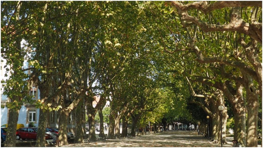 Alameda de Suances, una de las zonas verdes de la ciudad.