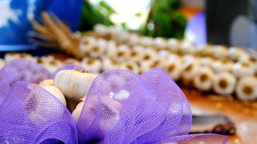 Ajo morado de Las Pedroñeras (Cuenca). Imagen de archivo