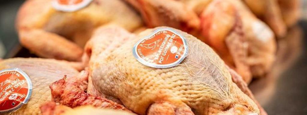 Imagen de la materia prima que utilizan en Auga e Sal.