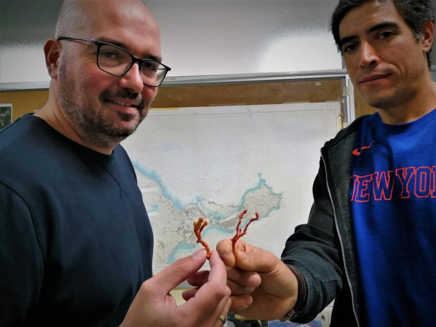Los biólogos Free Espinosa (d.) y Enrique Ostalé-Valriberas, con coral rojo de Perejil.