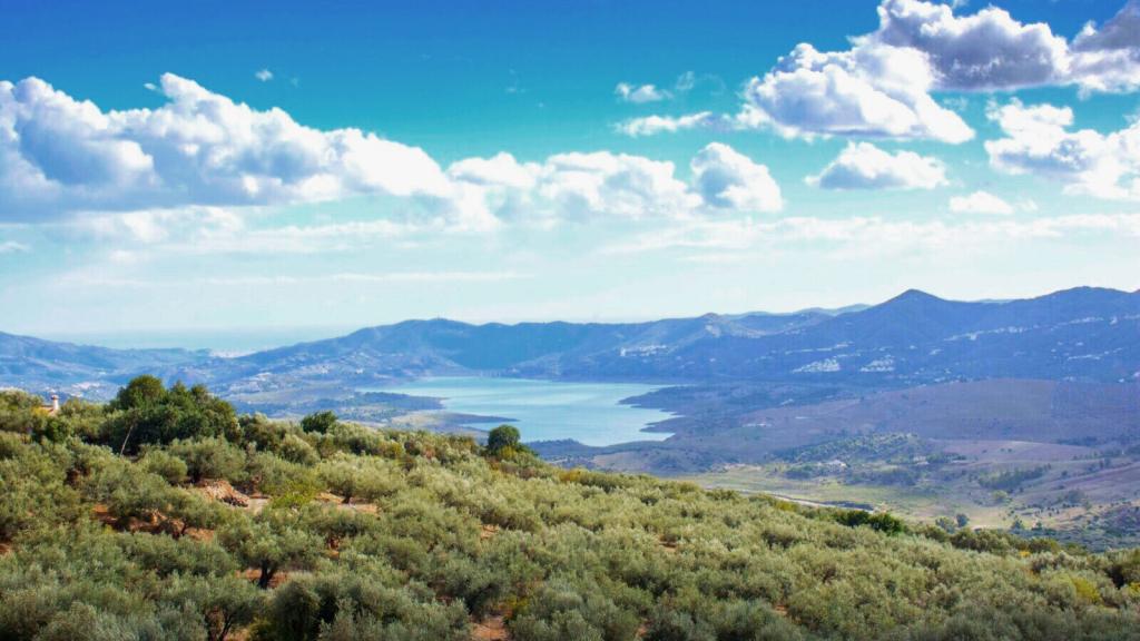 El pantano de La Viñuela está rodeado de extensos olivares.