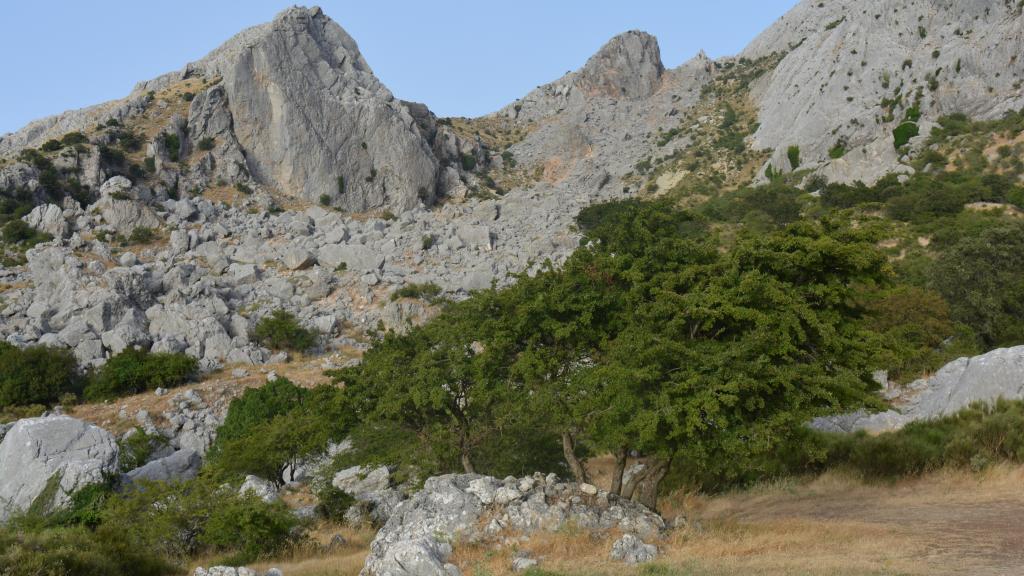 El único motivo bueno para escalar el Hondonero es que está ahí.