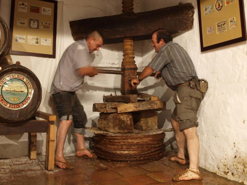 En Riogordo se puede ser testigo de cómo era antaño el proceso olivarero.