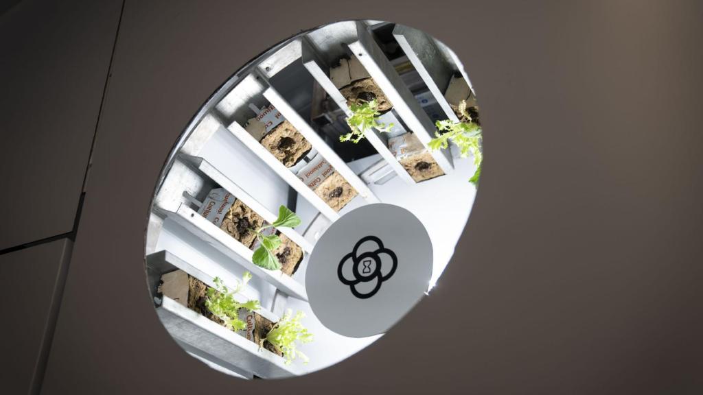 El huerto de CyberHut, la vivienda inteligente.