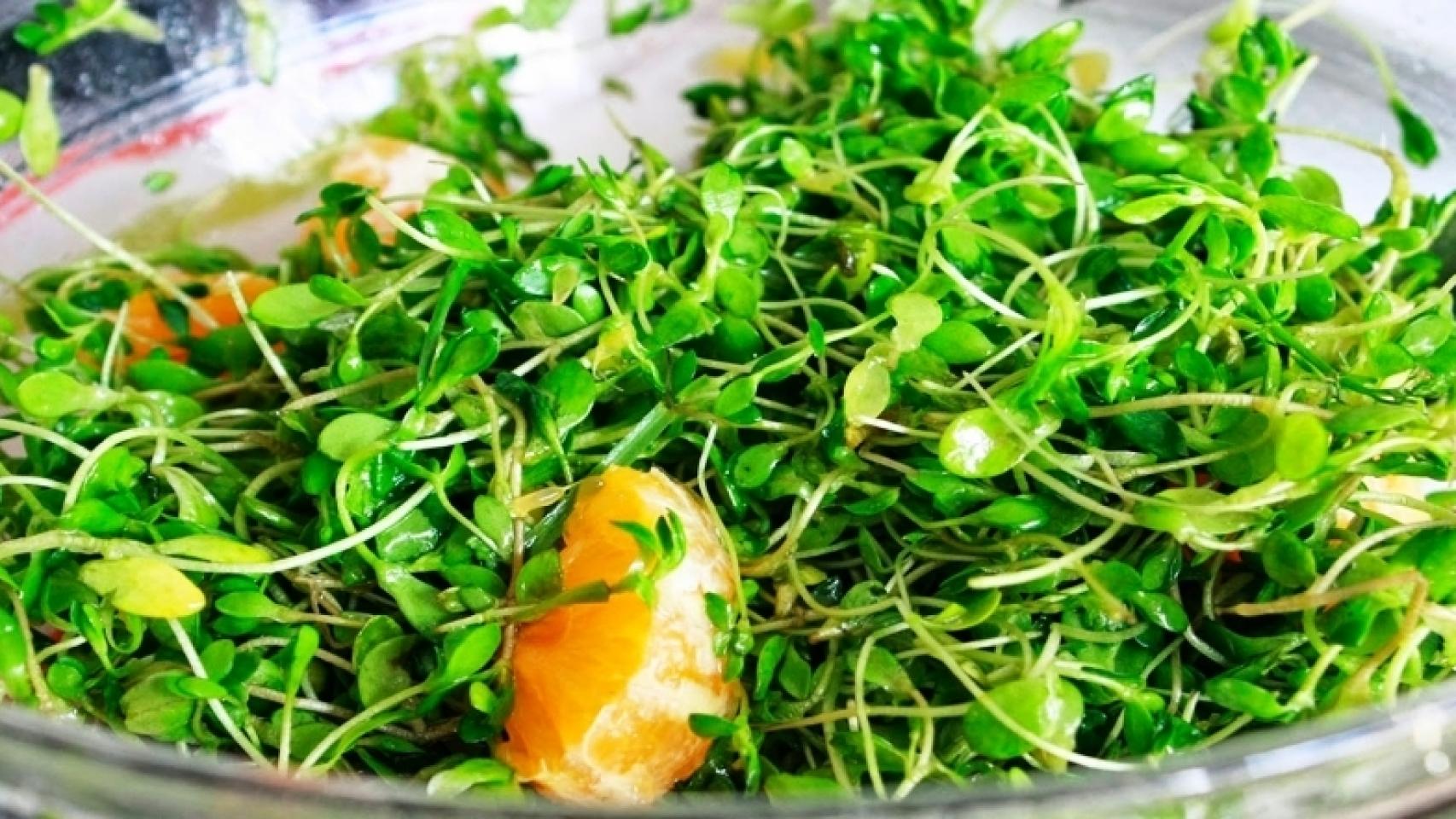 Cosas navideñas: Crónicas gastronómicas (1ª parte)