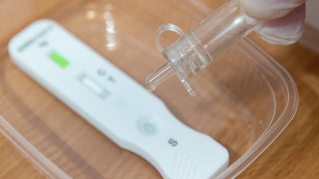 Test de antígenos de Covid-19 mediante saliva.