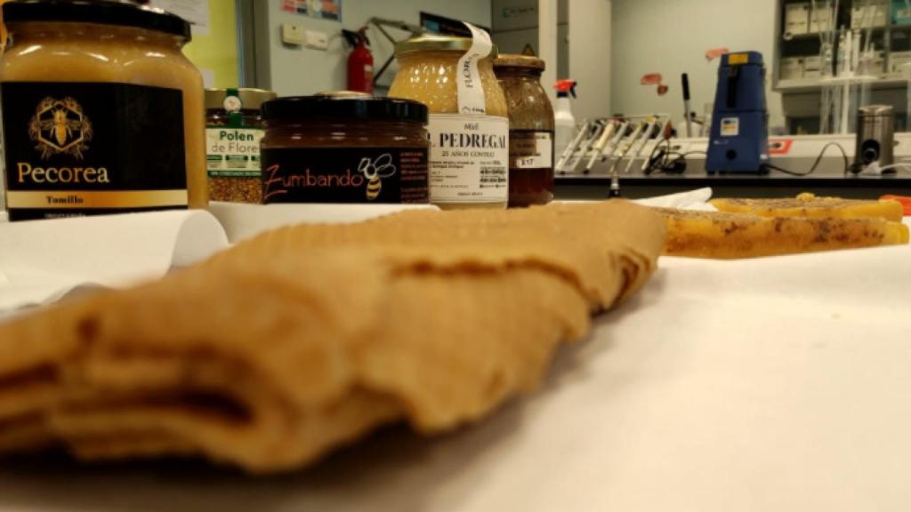 Análisis químicos en la Universidad de Valladolid