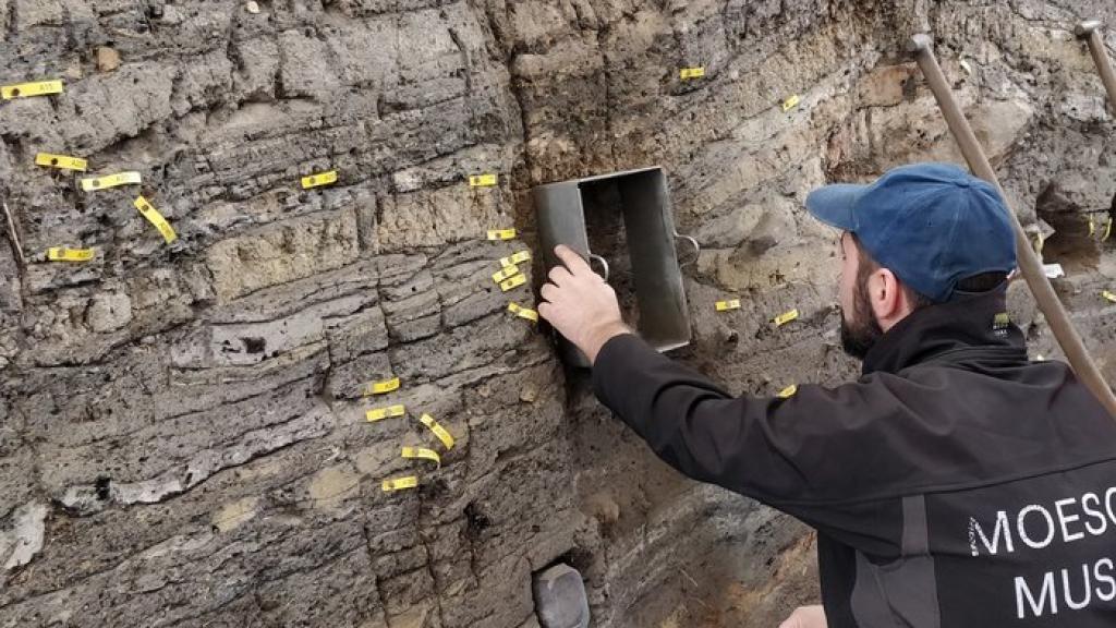 Los arqueólogos durante la excavación del yacimiento danés.