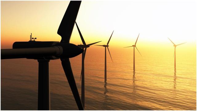 Un parque eólico marino.