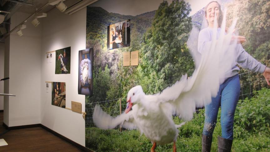 Una de las fotografías que se pueden ver en la sala f/DKV.
