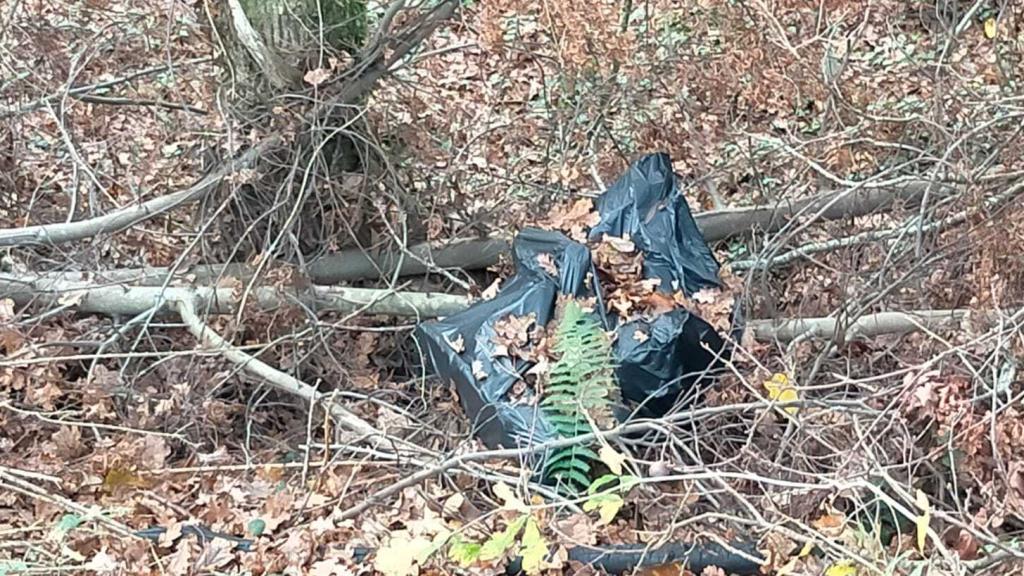 Restos encontrados por los investigadores.