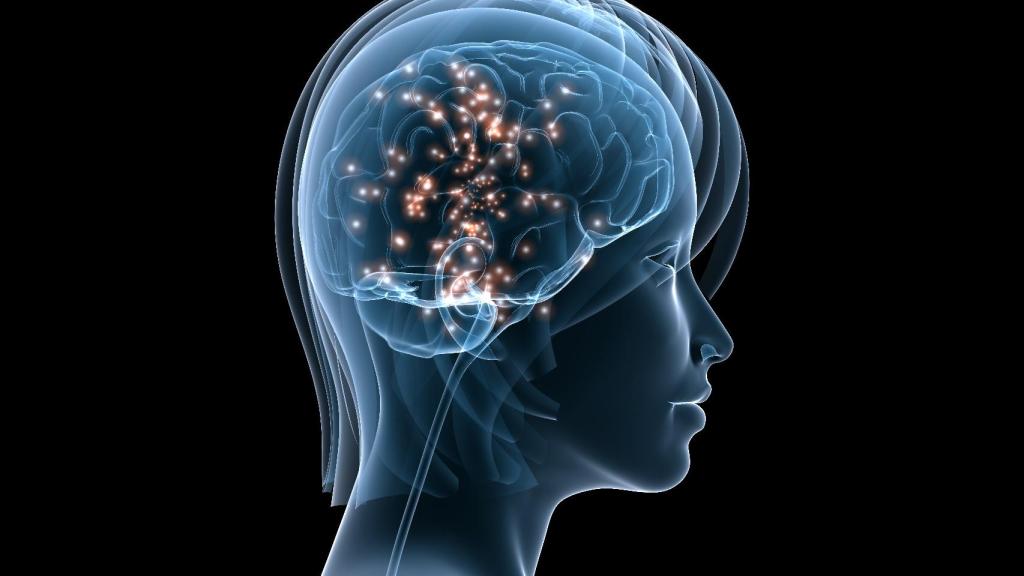Representación de la actividad neuronal.