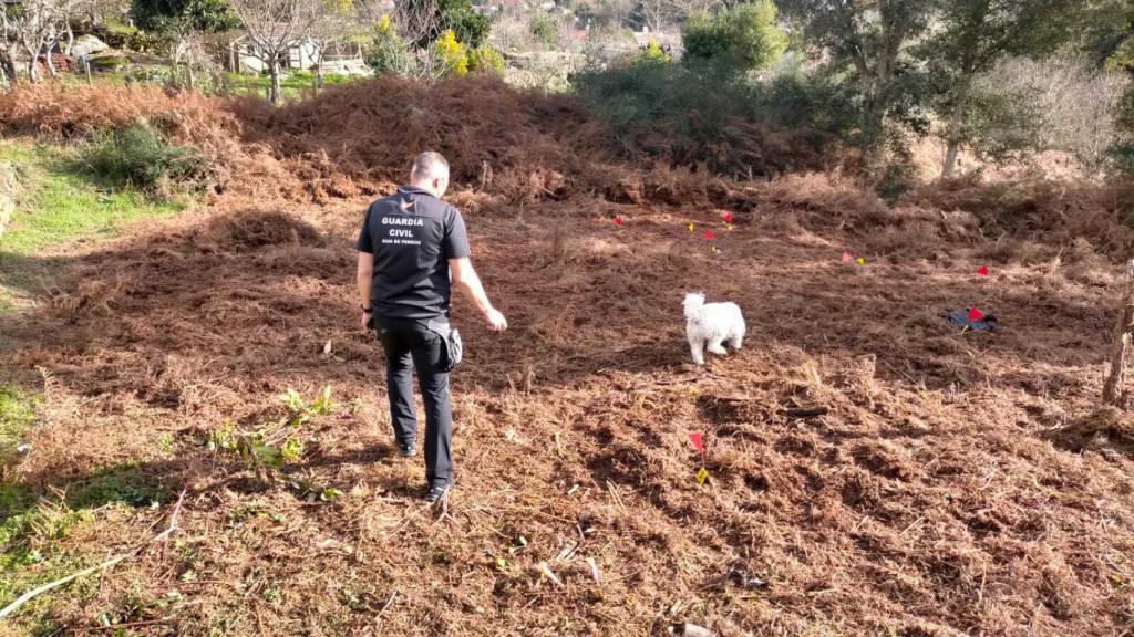 Una imagen de los investigadores en la finca donde apareció el cadáver.