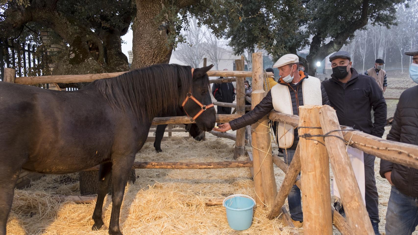 Imágenes del belén viviente de El Encinar