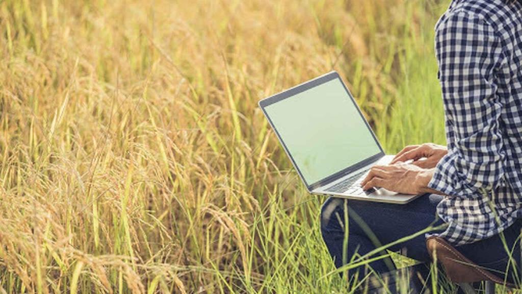 Un hombre consulta un ordenador en el campo.