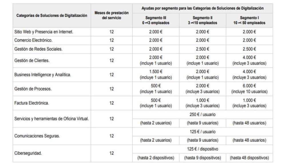 Las distintas categorías subvencionables del 'Kit Digital' en su primera convocatoria. Imagen: BOE.
