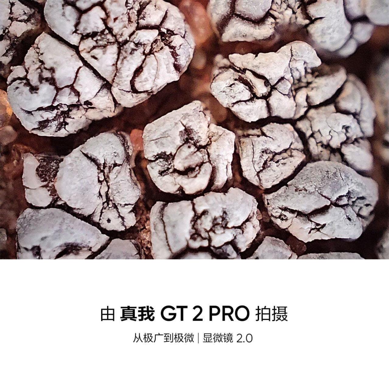 realme GT 2 Pro cámara macro