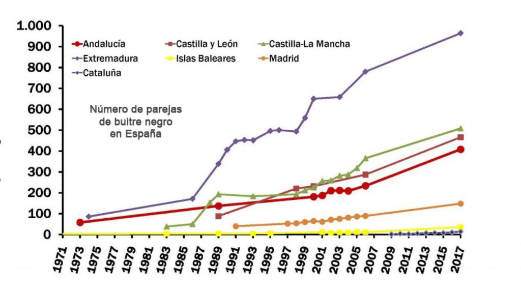 Buitres en España
