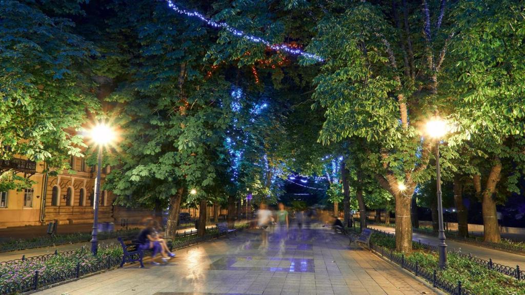 paseo nocturno parque