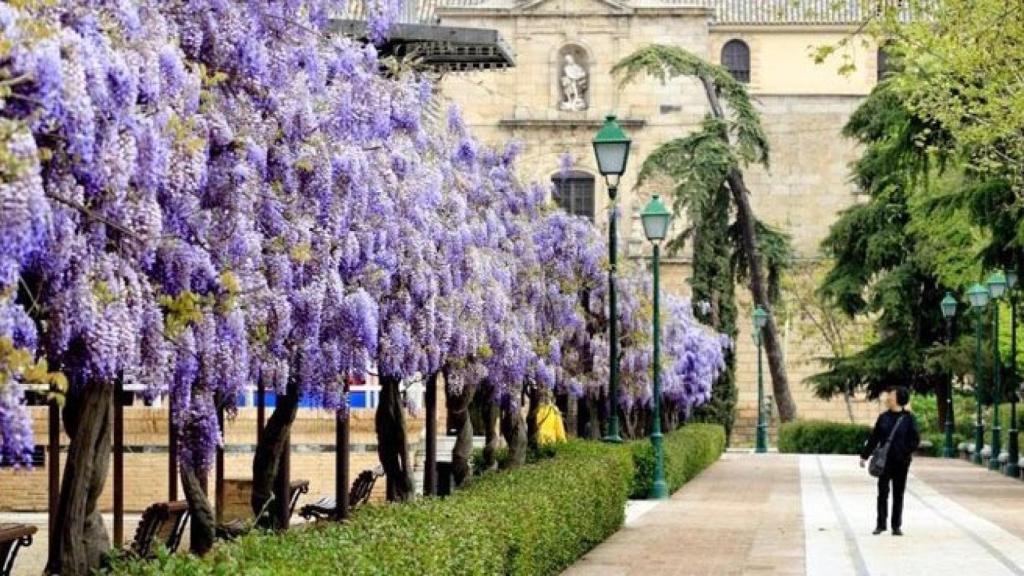 Parque de la Vega, en Toledo.