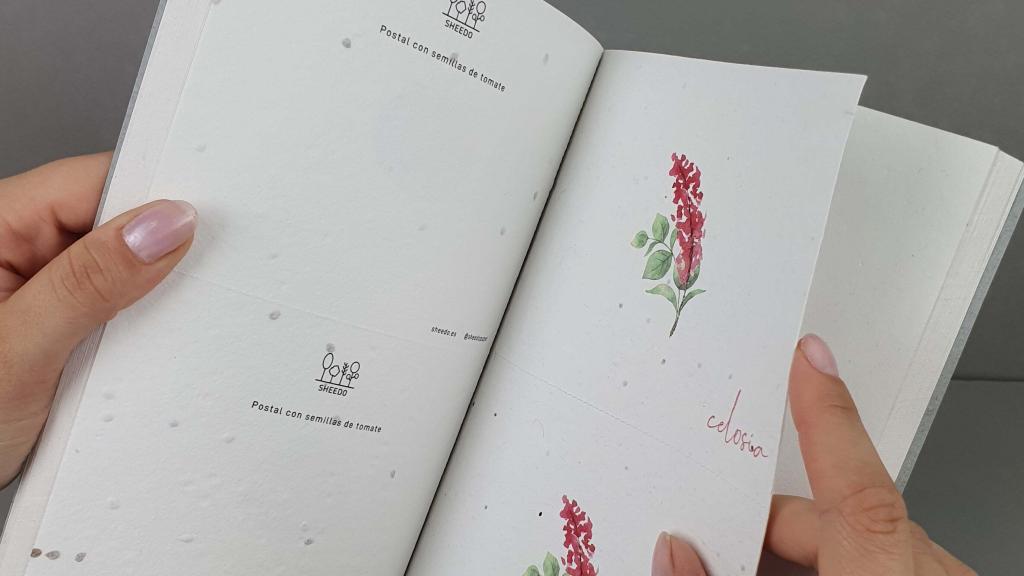 Cuaderno elaborado con papel plantable.