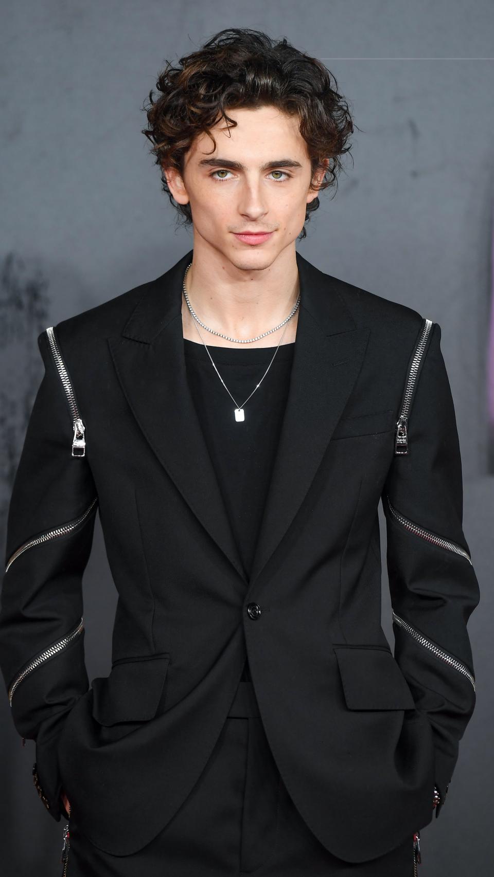 Timothée Chalamet en una imagen de archivo.