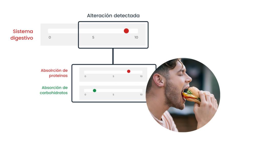 El test desarrollado por Exheus puede utilizarse para optimizar pautas y dietas nutricionales.