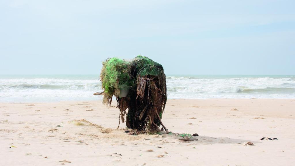 Paula Anta:  'Maam bu jiguén' (abuela), 2018. © Paula Anta