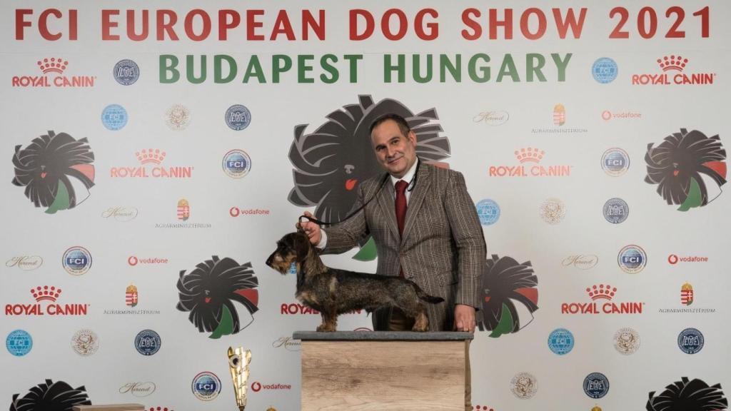 Tragaldabas Bertín, proclamado Campeón de Europa Joven en su raza, teckel miniatura de pelo duro, junto a Fermín Espila.