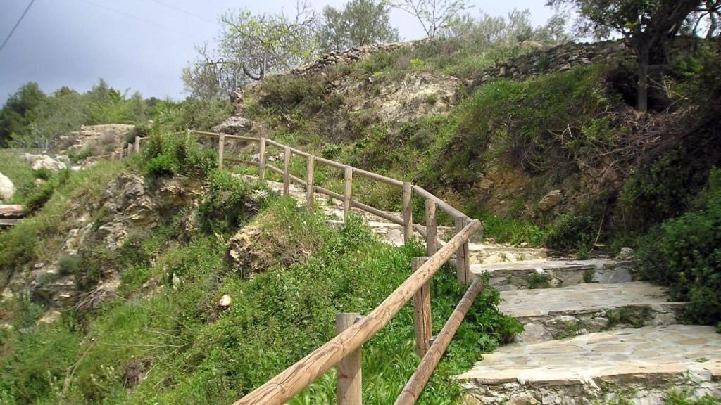 Comienzo de la ruta a su salida de Canillas de Aceituno.