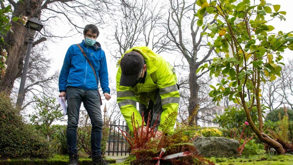 Obras en los jardines de San Carlos.