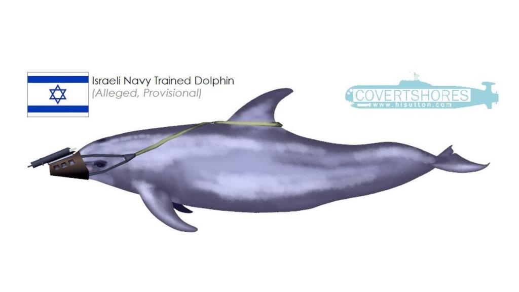 Recreación artística del delfín con el dispositivo