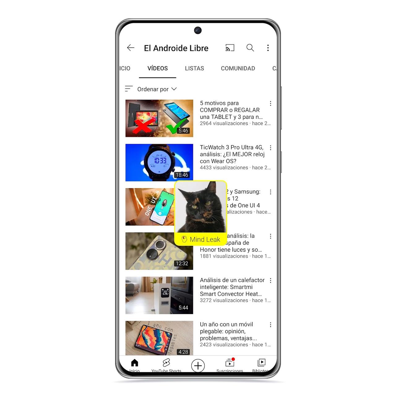 Mind Leak en YouTube