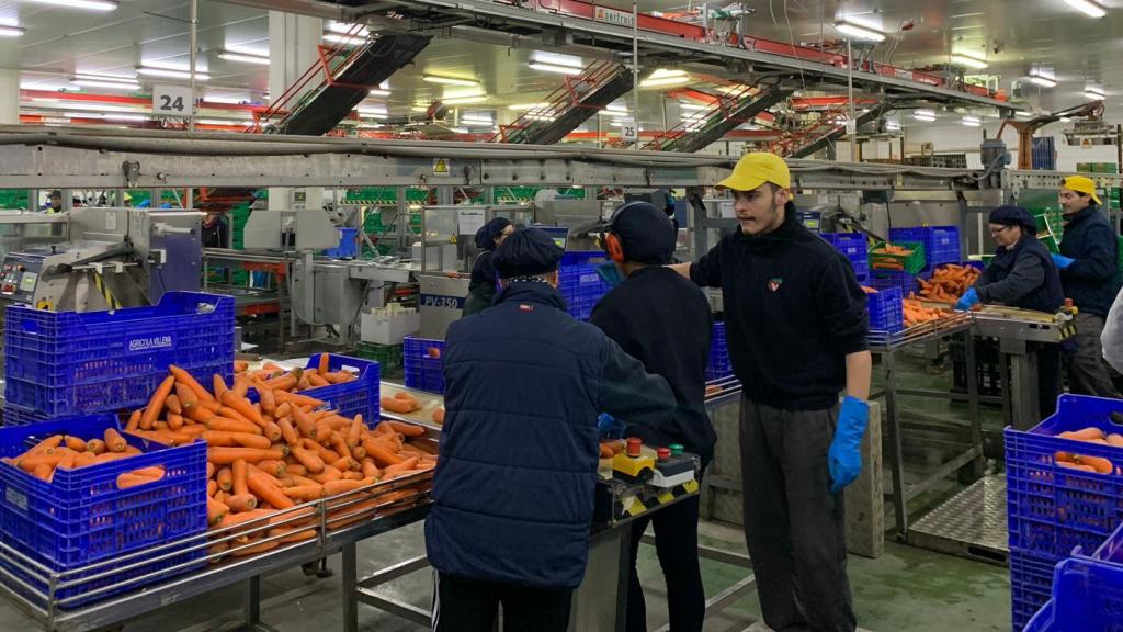 La cooperativa, por dentro en una imagen de archivo.