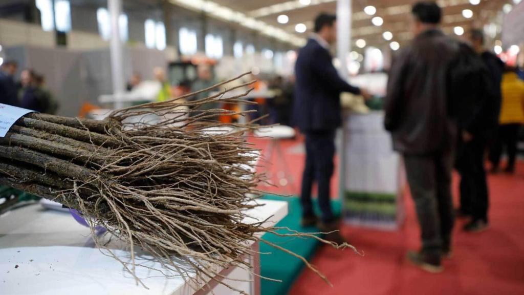 Una edición de Agrovid