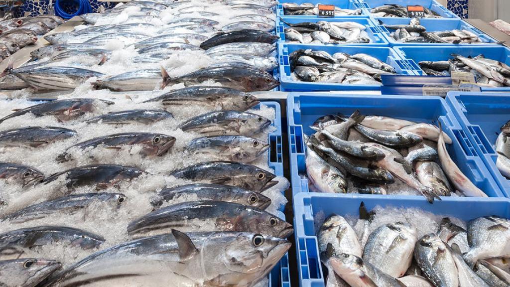 Pescados en venta en una pescadería.